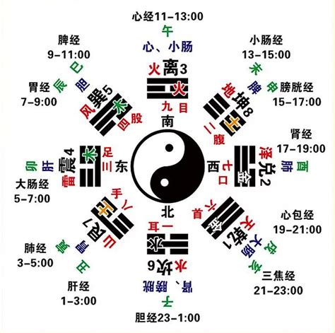 五行經絡|經絡